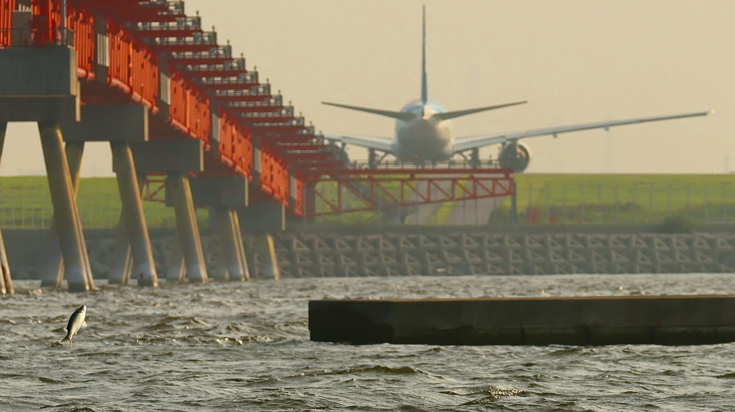 羽田空港 フォトコンテスト 過去の受賞作品
