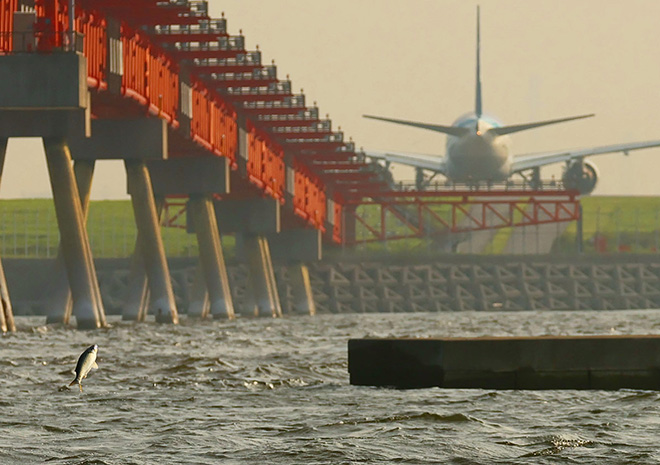羽田空港 フォトコンテスト 過去の受賞作品